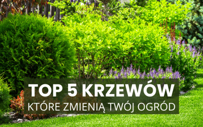 Top 5 krzewów, które zmienią Twój ogród tej wiosny