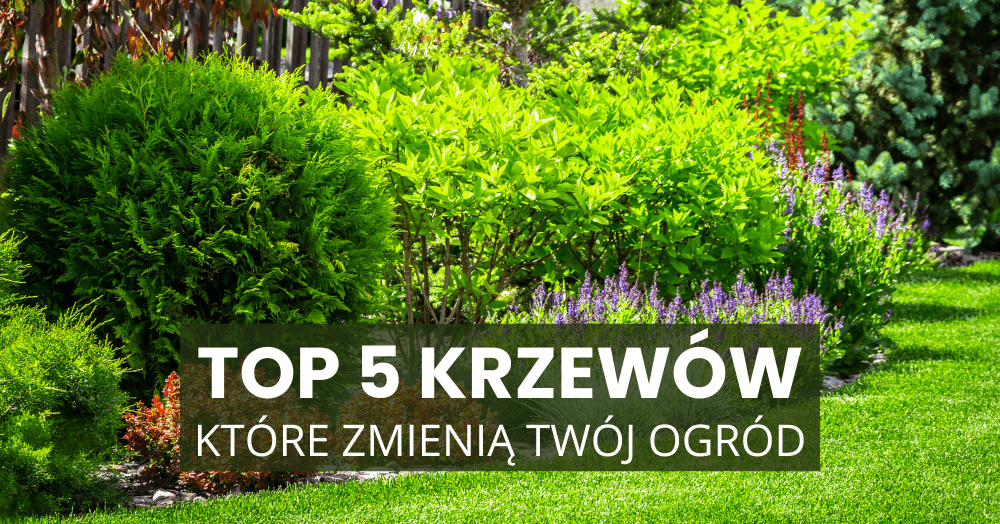 Top 5 krzewów, które zmienią Twój ogród tej wiosny