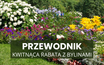 Jak stworzyć kwitnącą rabatę z bylinami? Przewodnik dla ogrodników.