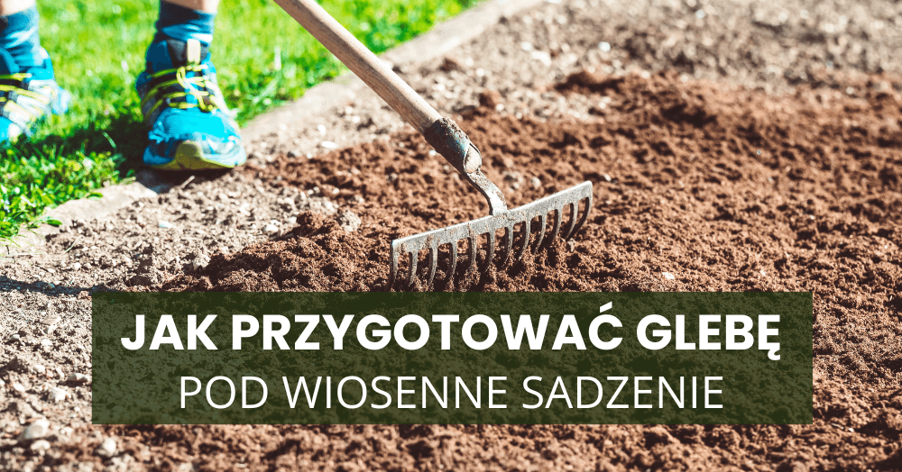 Jak przygotować glebę pod wiosenne sadzenie – 5 kroków do pięknego ogrodu