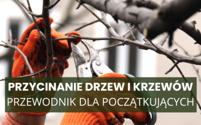 Kiedy i jak przycinać krzewy i drzewa wiosną? Przewodnik dla początkujących