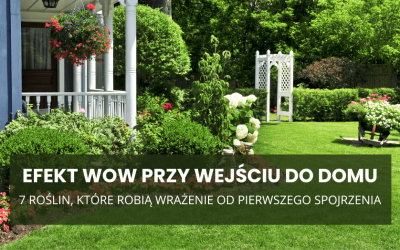 Efekt WOW przy wejściu do domu – 7 roślin, które robią wrażenie od pierwszego spojrzenia