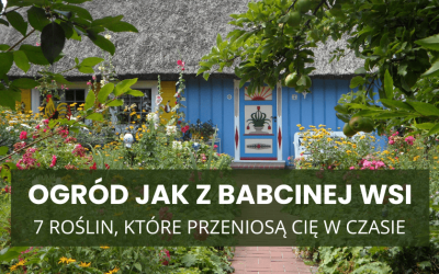 Ogród jak z babcinej wsi – 7 roślin, które przeniosą Cię w czasie
