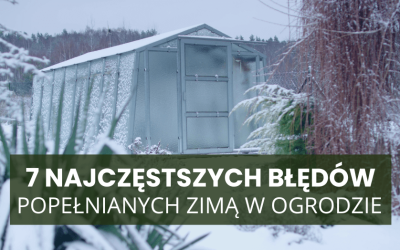 7 najczęstszych błędów popełnianych zimą w ogrodzie (i jak ich uniknąć)