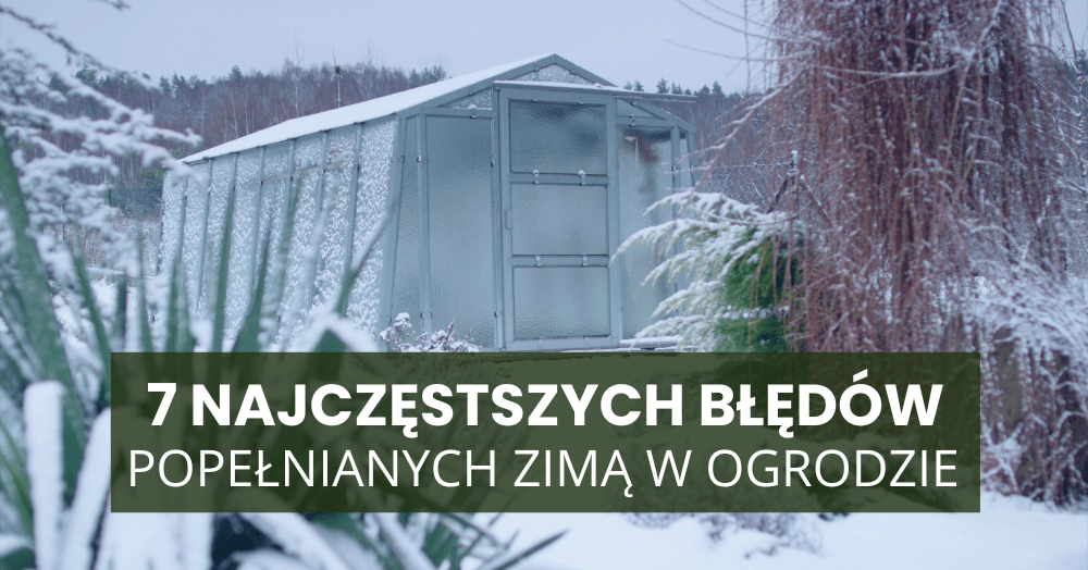 7 najczęstszych błędów popełnianych zimą w ogrodzie (i jak ich uniknąć)