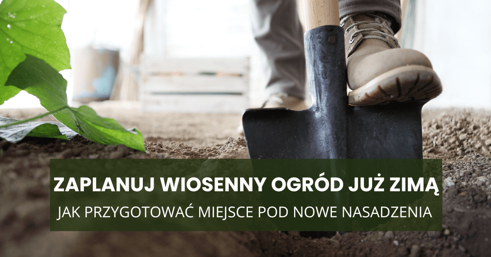 Zaplanuj wiosenny ogród już zimą – jak przygotować miejsce pod nowe nasadzenia