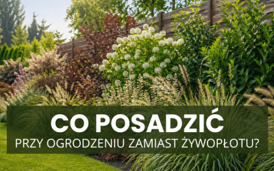 Co posadzić przy ogrodzeniu zamiast żywopłotu?