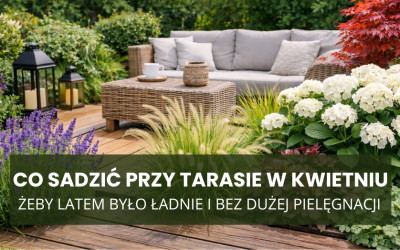 Co posadzić przy tarasie w kwietniu, żeby latem było ładnie i bez dużej pielęgnacji