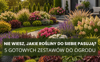 Nie wiesz, jakie rośliny do siebie pasują? 5 gotowych zestawów do ogrodu