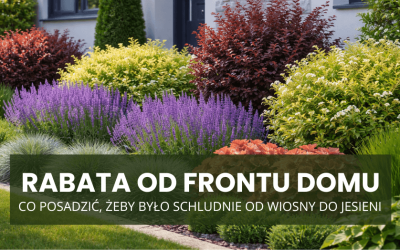 Rabata od frontu domu – co posadzić, żeby było schludnie od wiosny do jesieni