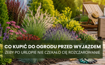 Co kupić do ogrodu przed wyjazdem, żeby po urlopie nie czekało Cię rozczarowanie