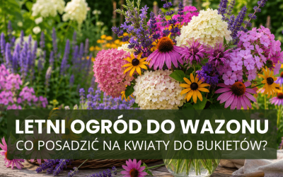 Letni ogród do wazonu – co posadzić na kwiaty do bukietów?