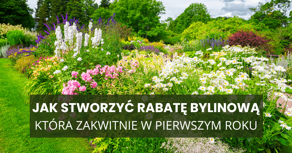 Jak stworzyć rabatę bylinową, która zakwitnie już w pierwszym roku?