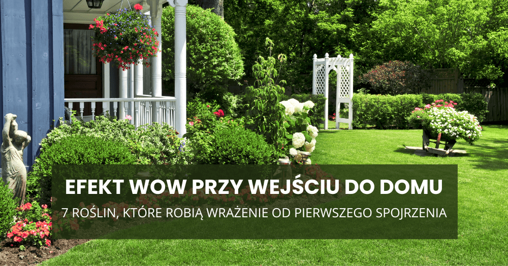 Efekt WOW przy wejściu do domu – 7 roślin, które robią wrażenie od pierwszego spojrzenia