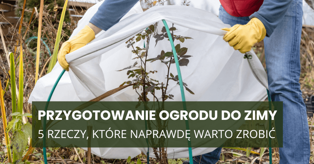 Przygotowanie ogrodu do zimy: pięć rzeczy, które naprawdę warto zrobić