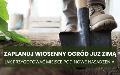 Zaplanuj wiosenny ogród już zimą – jak przygotować miejsce pod nowe nasadzenia